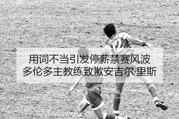 用词不当引发停薪禁赛风波 多伦多主教练致歉安吉尔·里斯